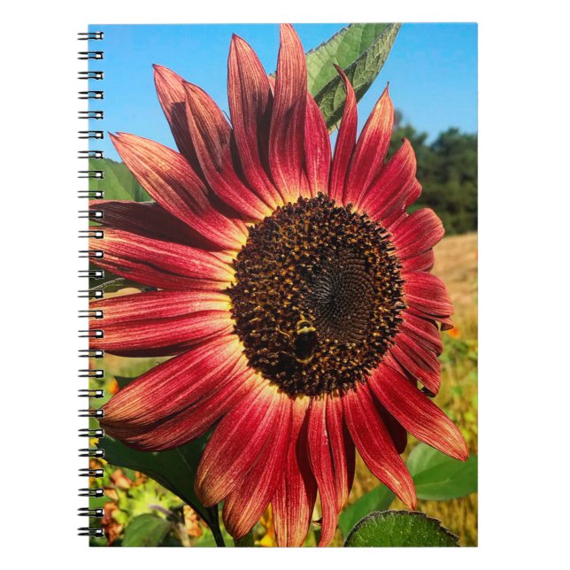 Cuaderno Girasol rojo con abeja (Frente)