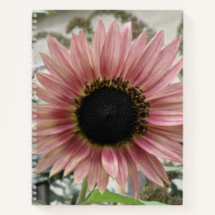 Cuaderno Girasol rosa pálido