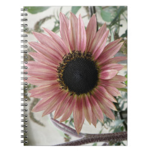 Cuaderno Girasol rosa pálido