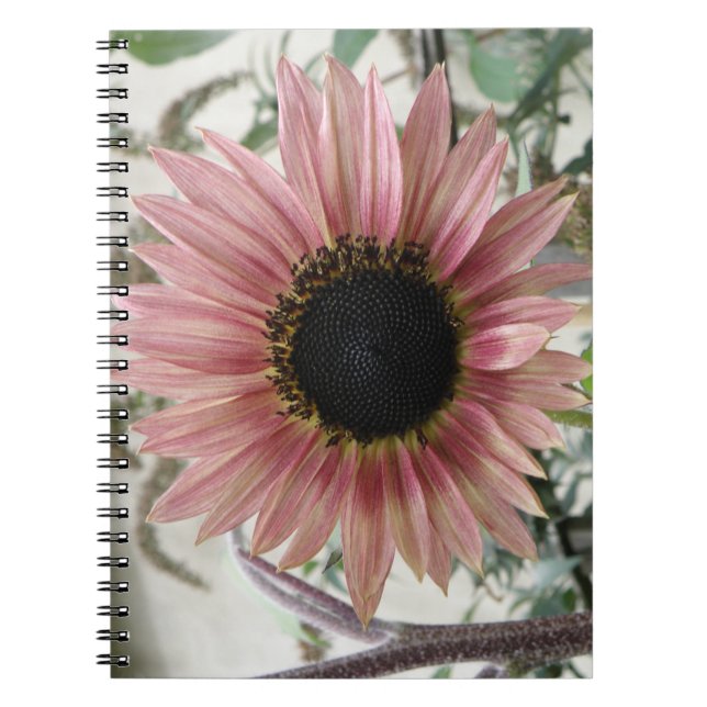 Cuaderno Girasol rosa pálido (Frente)