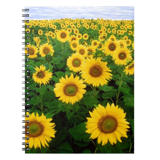 Cuaderno Girasoles (Frente)
