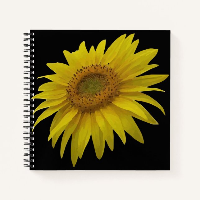 Cuaderno Giro acuático (Anverso)