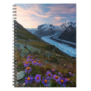 Cuaderno Glaciar Monte Rosa   Suiza