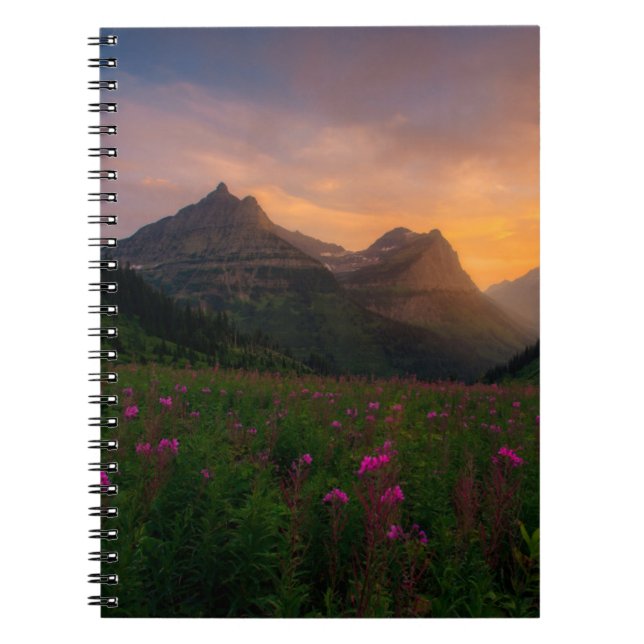 Cuaderno Glaciar Wildflowers (Frente)