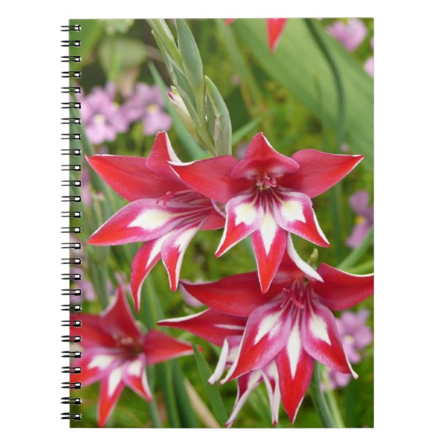 Cuaderno Gladiolas Rojo y Blanco Botánico (Frente)