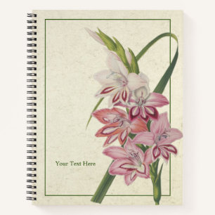 Cuaderno Glaielus Truffaut