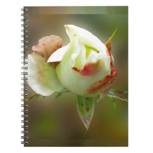 Cuaderno glamour rosebud