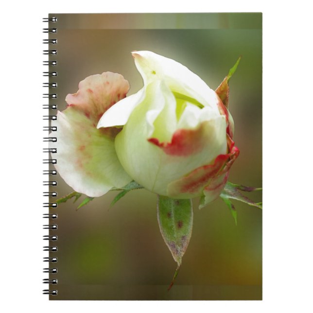 Cuaderno glamour rosebud (Frente)