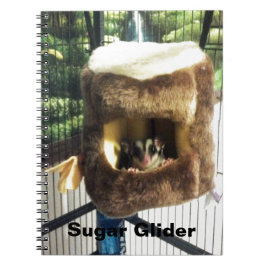 Cuaderno Glider azucarero en camión de árbol furtivo colgan