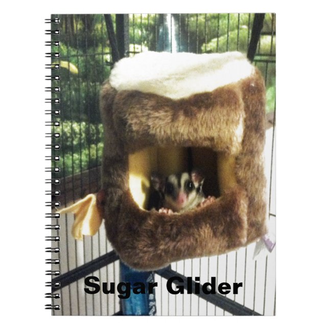 Cuaderno Glider azucarero en camión de árbol furtivo colgan (Frente)