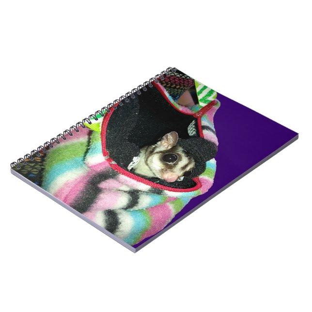 Cuaderno Glider azucarero usando un Gorra (Lado Izquierdo)