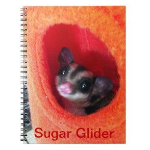 Cuaderno Glider de azúcar en la cama colgada del Naranja