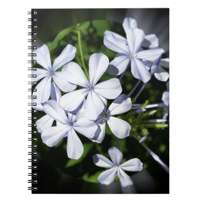 Cuaderno Globo de flores (Frente)