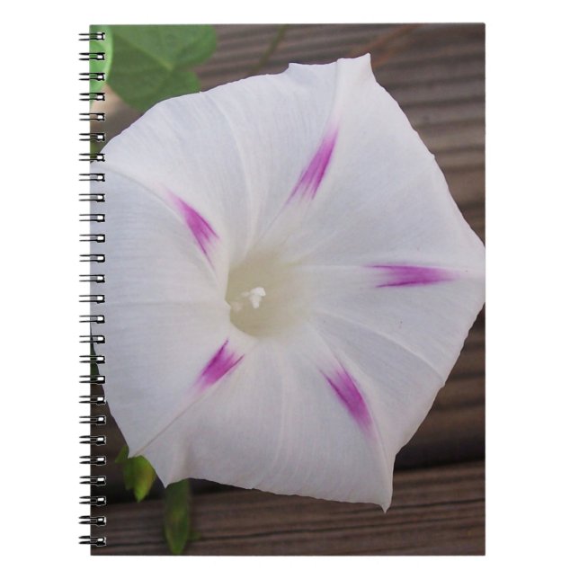 Cuaderno Gloria de la Mañana (Frente)