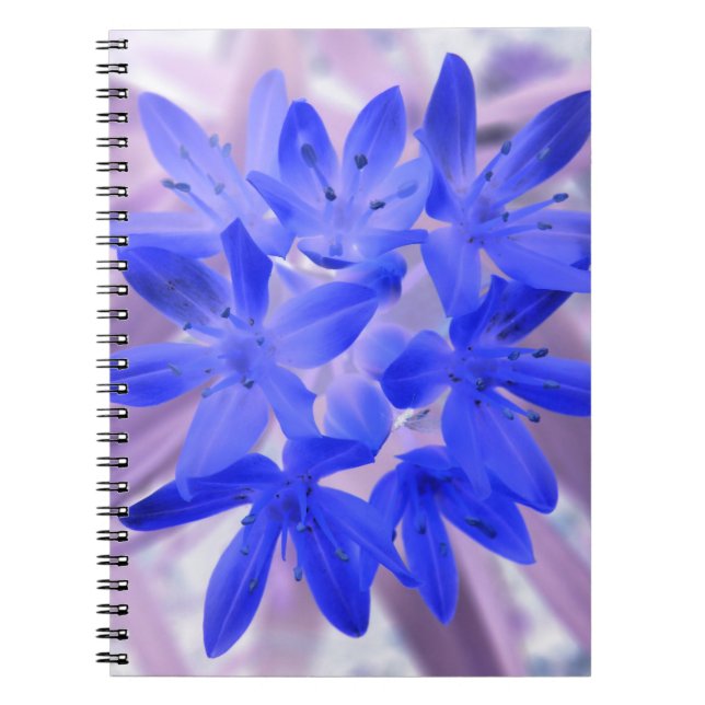 Cuaderno Gloria de la nieve impactante portátil azul (Frente)