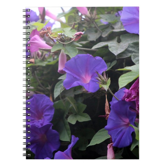 Cuaderno Glorias de primavera en azul (Frente)