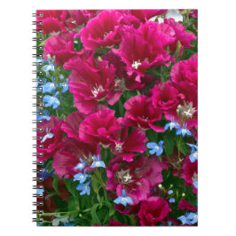 Cuaderno Godetia y regalos del Lobelia
