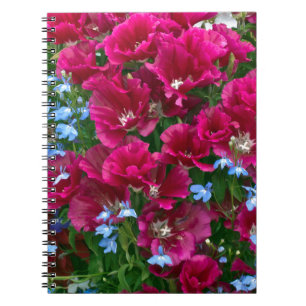 Cuaderno Godetia y regalos del Lobelia