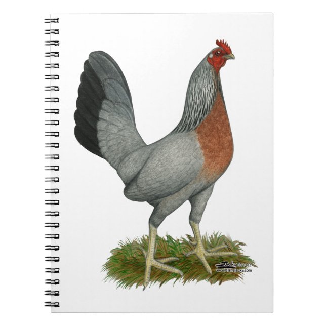 Cuaderno Golden Duckwing Hen (Frente)