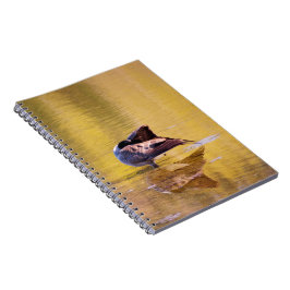 Cuaderno Golden Goose