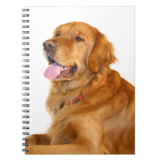 Cuaderno Golden Retriever