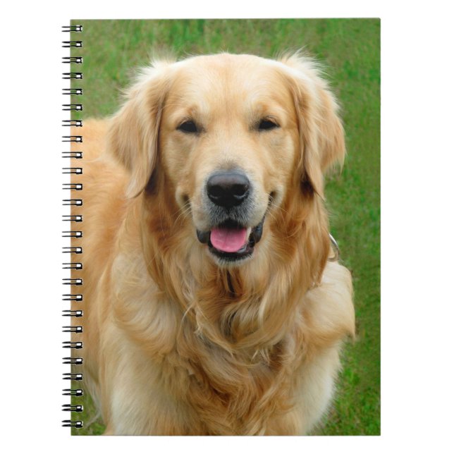 Cuaderno Golden retriever (Frente)
