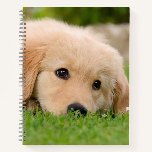 Cuaderno Golden Retriever Cute Puppy Dreams Dog Head (Anverso)