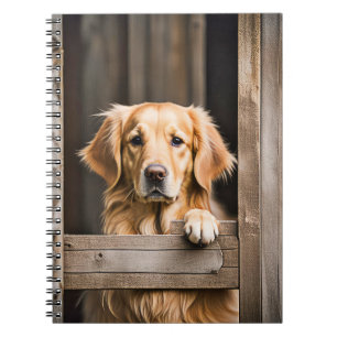 Cuaderno Golden Retriever In Barn Window