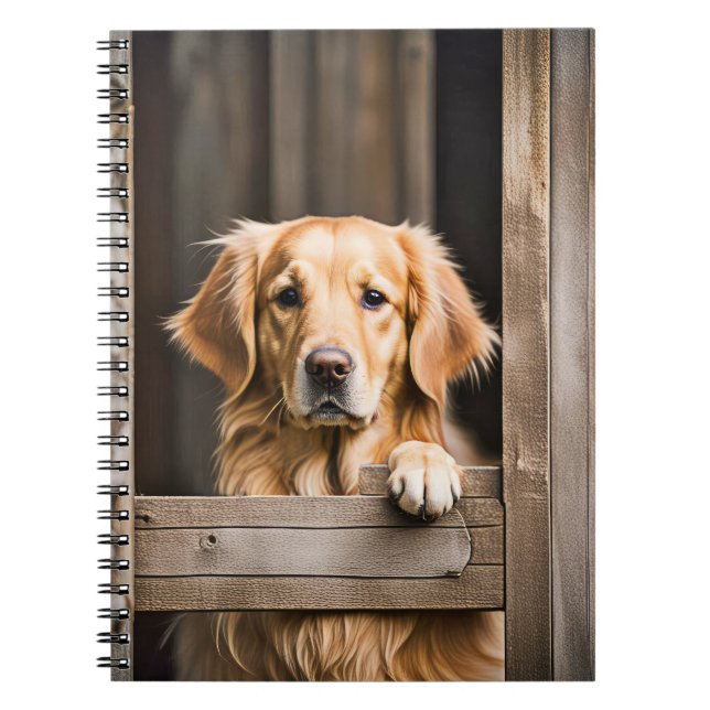 Cuaderno Golden Retriever In Barn Window (Frente)