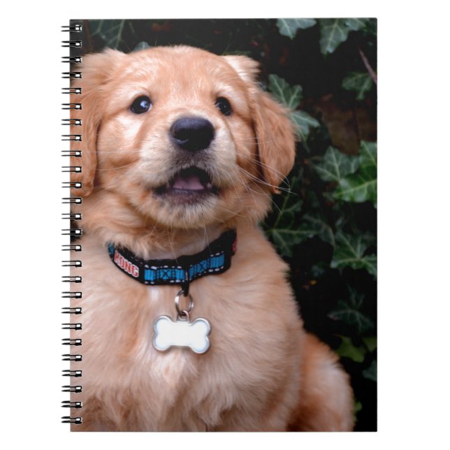 Cuaderno Golden Retriever Puppy (Frente)