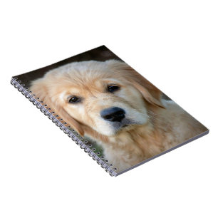 Cuaderno Golden Retriever Puppy