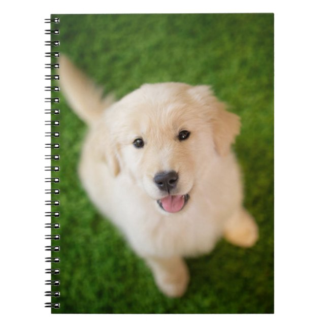 Cuaderno Golden Retriever Puppy on Grass (Frente)