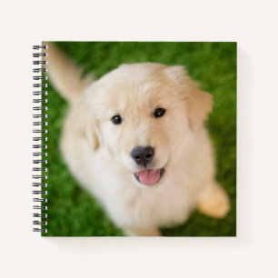 Cuaderno Golden Retriever Puppy on Grass