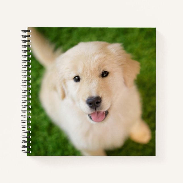 Cuaderno Golden Retriever Puppy on Grass (Anverso)