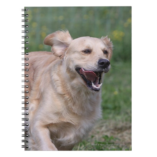 Cuaderno Golden retriever que corre 1 (Frente)