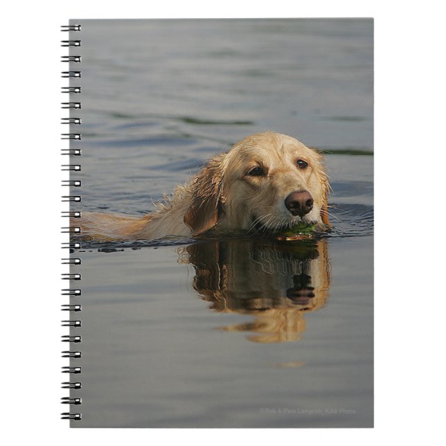 Cuaderno Golden retriever que nada (Frente)