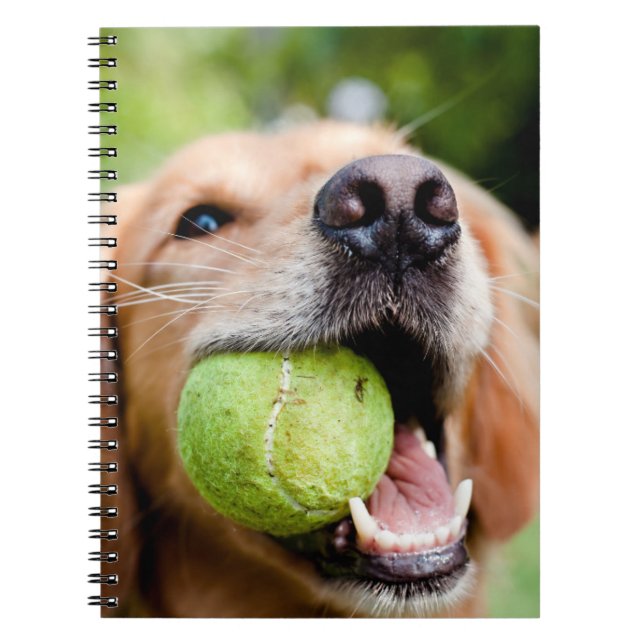 Cuaderno Golden Retriever With Tennis Ball (Frente)