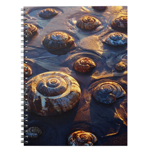 Cuaderno Golden Seashells Beach Sand (Frente)