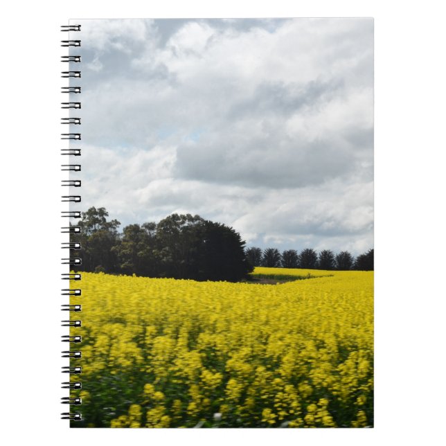 Cuaderno Golden Waves of Streatham (Frente)