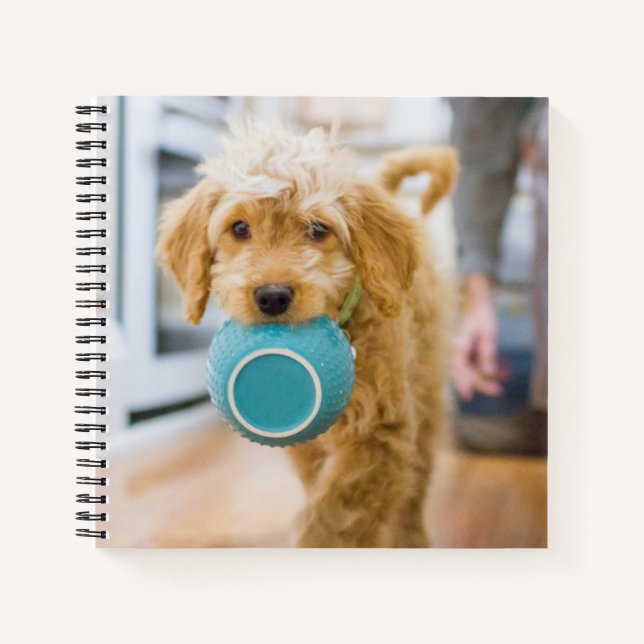 Cuaderno Goldendoodle Carporting Dinner Bowl (Anverso)