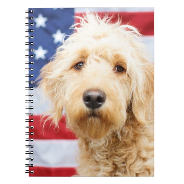 Cuaderno Goldendoodle con bandera estadounidense (Frente)