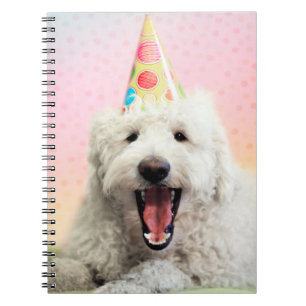 Cuaderno Goldendoodle Con Fiesta Gorra
