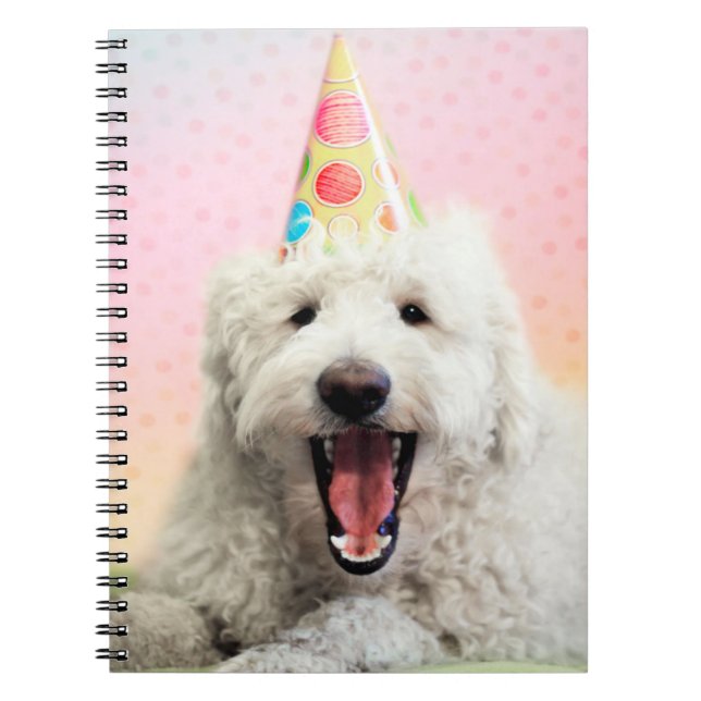 Cuaderno Goldendoodle Con Gorra Fiesta (Frente)