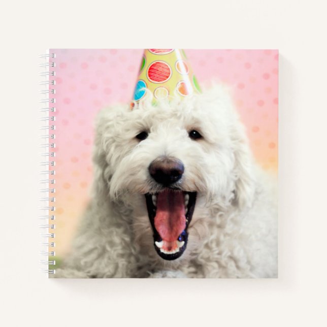 Cuaderno Goldendoodle Con Gorra Fiesta (Anverso)