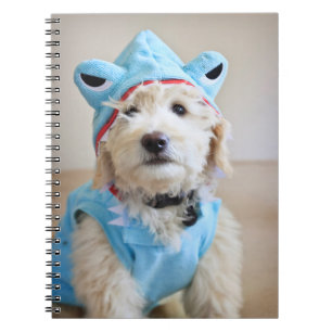 Cuaderno Goldendoodle con traje de tiburón