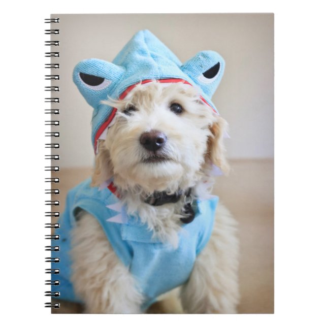 Cuaderno Goldendoodle En Traje De Tiburón (Frente)