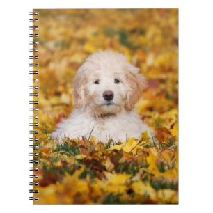 Cuaderno Goldendoodle Puppy En Hojas Caídas