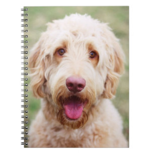 Cuaderno Goldendoodle Smiling