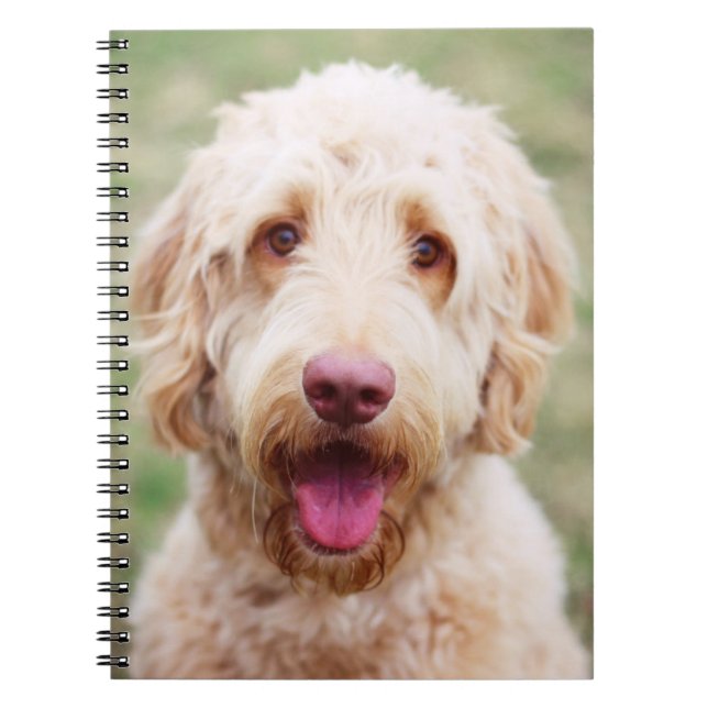 Cuaderno Goldendoodle Smiling (Frente)