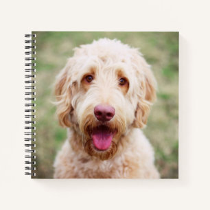 Cuaderno Goldendoodle Smiling